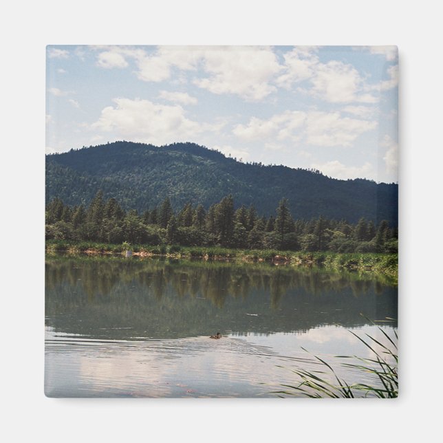 Swimming Alone..... Magnet (Front)