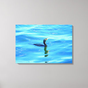 swimming cormorant wrapped canvas