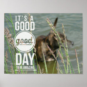 Swimming Dog, Great Day Poster