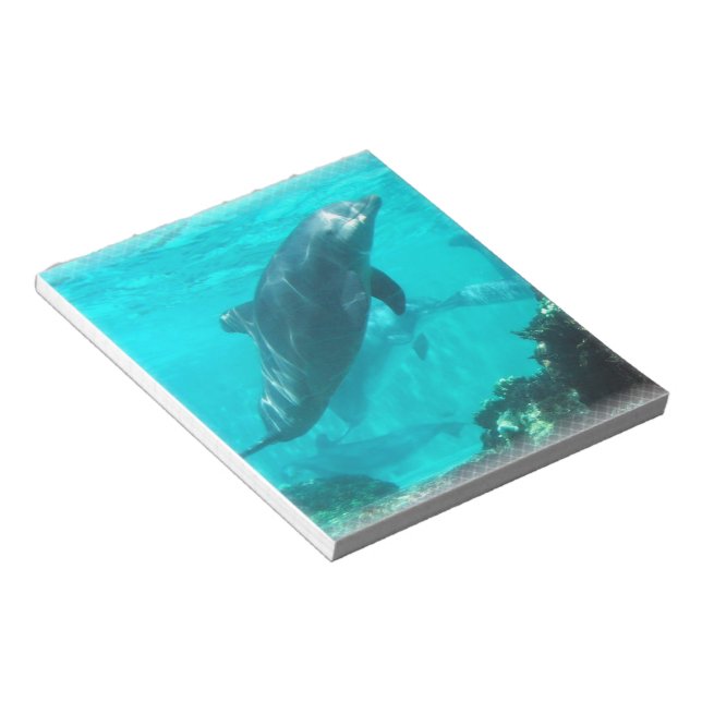 Swimming Dolphin Notepad (Angled)