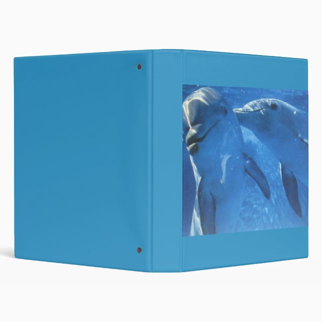 Swimming Dolphins Binder (Background)