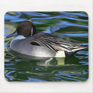 swimming duck mousepad