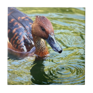 Swimming Duck Tile