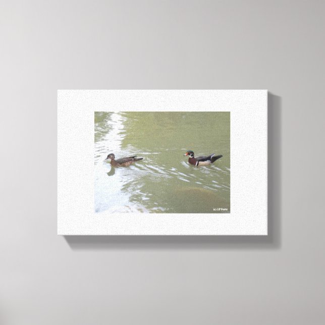 Swimming Ducks Canvas Print (Front)