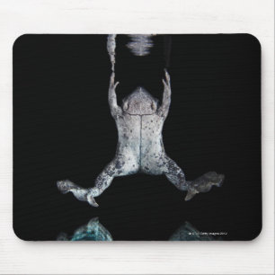 Swimming frog mouse pad
