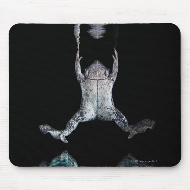 Swimming frog mouse pad (Front)