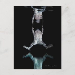 Swimming frog postcard
