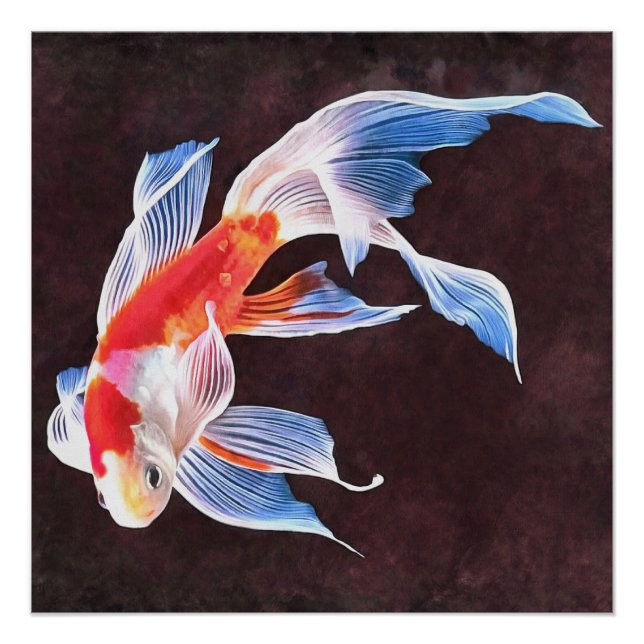 Swimming Goldfish Realistic Fine Art Poster (Front)