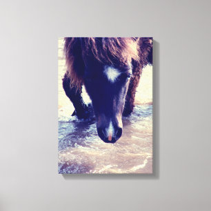 Swimming Horse Canvas Print