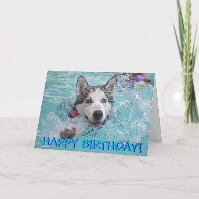 Swimming husky photo birthday card (Front)