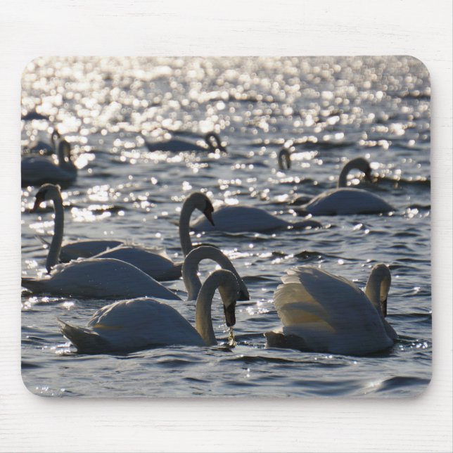 Swimming in a group on the water with sparkling z mouse pad (Front)