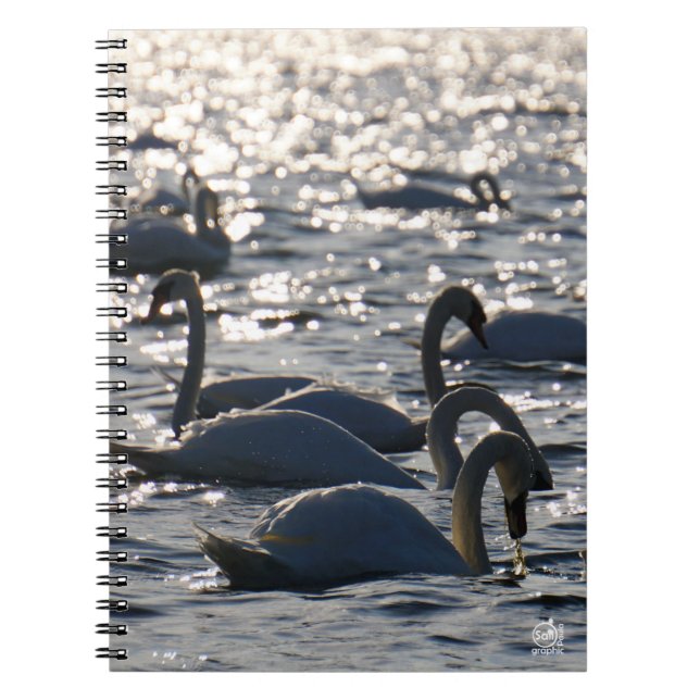 Swimming in a group on the water with sparkling z notebook (Front)