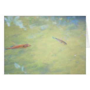 Swimming in the Sun
