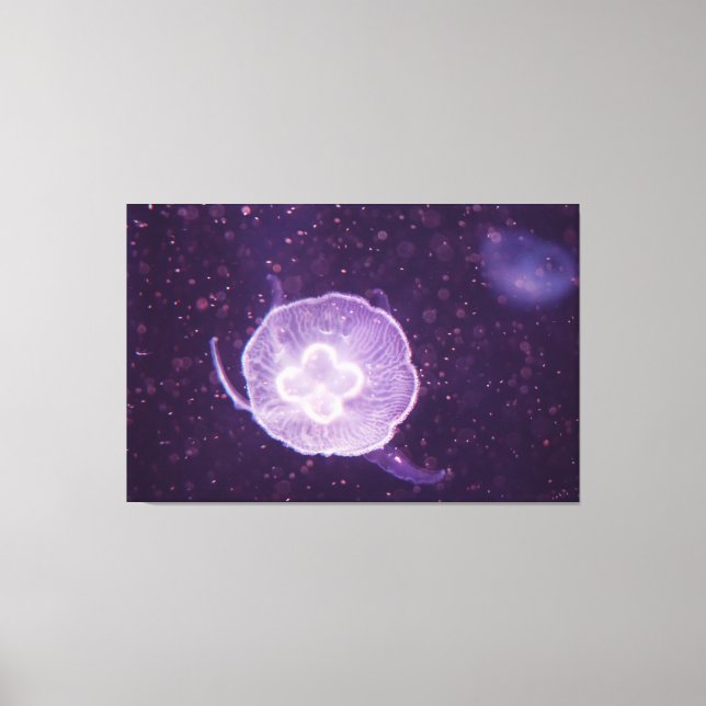 Swimming Jellyfish Canvas Print (Front)
