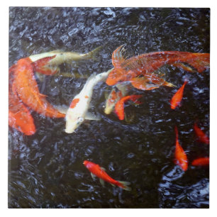 Swimming Koi Tile