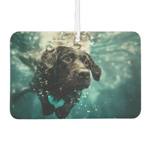 Swimming Labrador Puppy Underwater Design Air Freshener