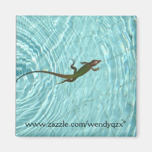 Swimming Lizard Magnet