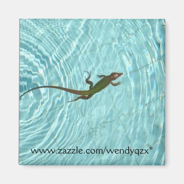 Swimming Lizard Magnet (Front)
