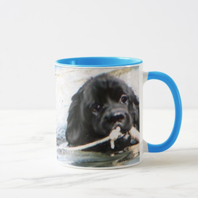 swimming newfs mug (Right)