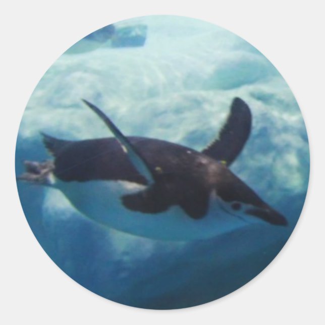 swimming penguin classic round sticker (Front)