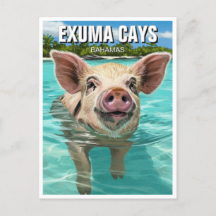 Swimming Pig Exuma Cays Bahamas Travel Postcard