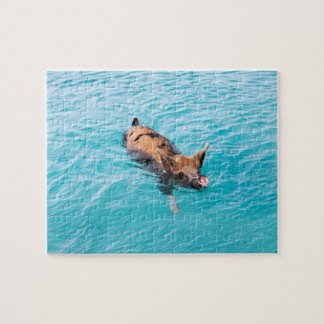 Swimming pig of Exuma Jigsaw Puzzle (Horizontal)