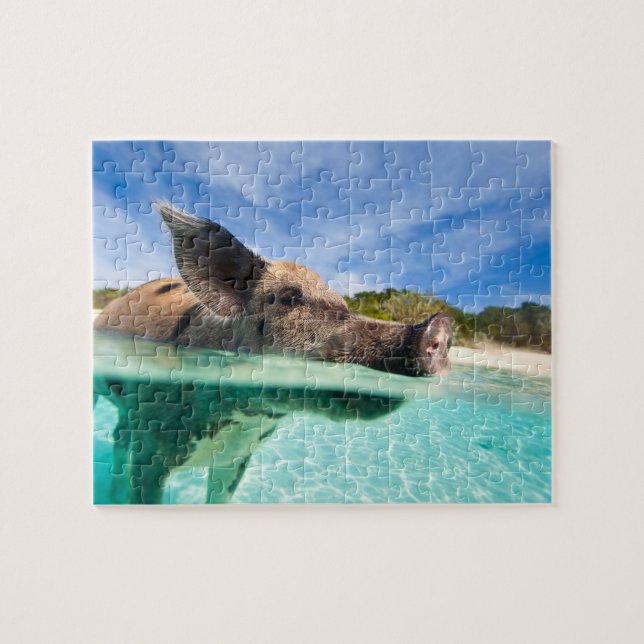 Swimming pig of Exuma Jigsaw Puzzle (Horizontal)