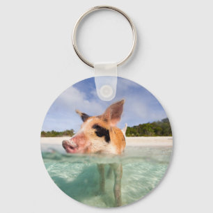 Swimming pig of Exuma Keychain