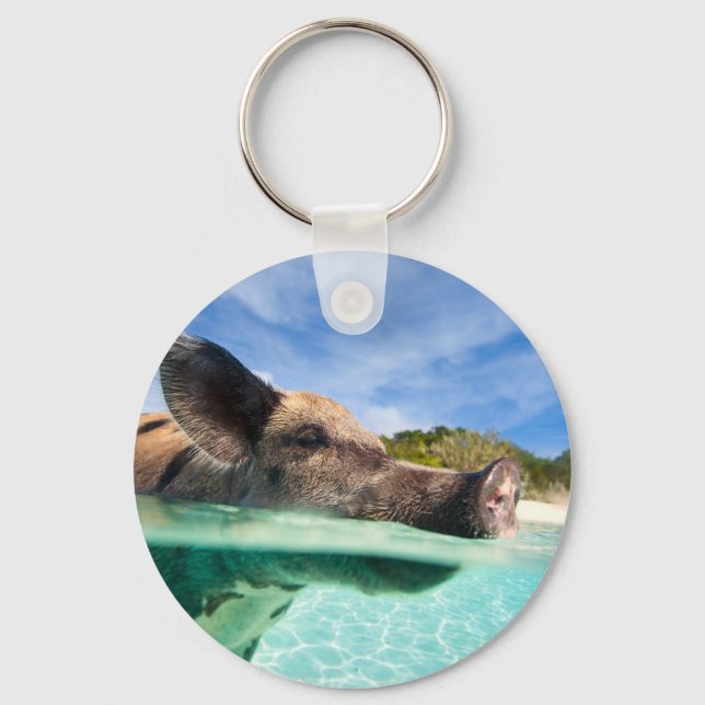 Swimming pig of Exuma Keychain (Front)