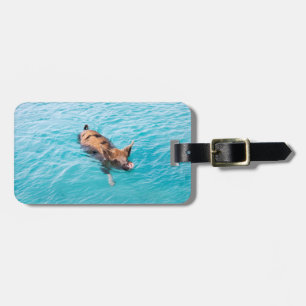Swimming pig of Exuma Luggage Tag