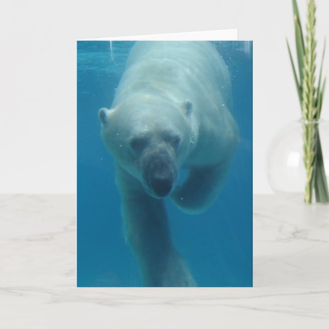 Swimming Polar Bear  Greeting Card (Front)
