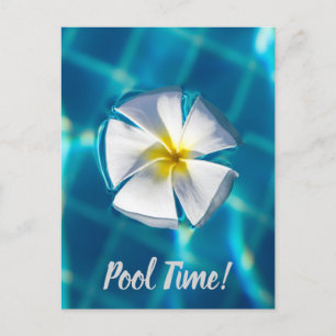Swimming Pool Sparkling Water with Flower gift Holiday Postcard