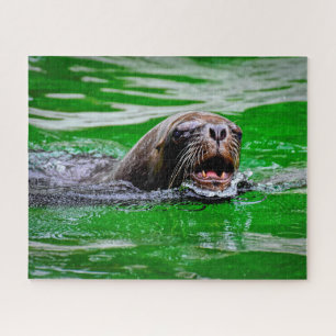Swimming Sea Lion Close Up, Jigsaw Puzzle