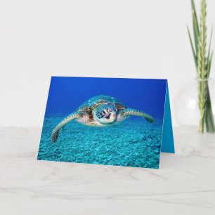 Swimming Sea Turtle Card
