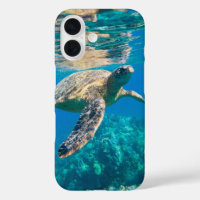 Swimming Sea Turtle