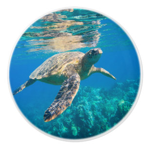 Swimming Sea Turtle Ceramic Knob
