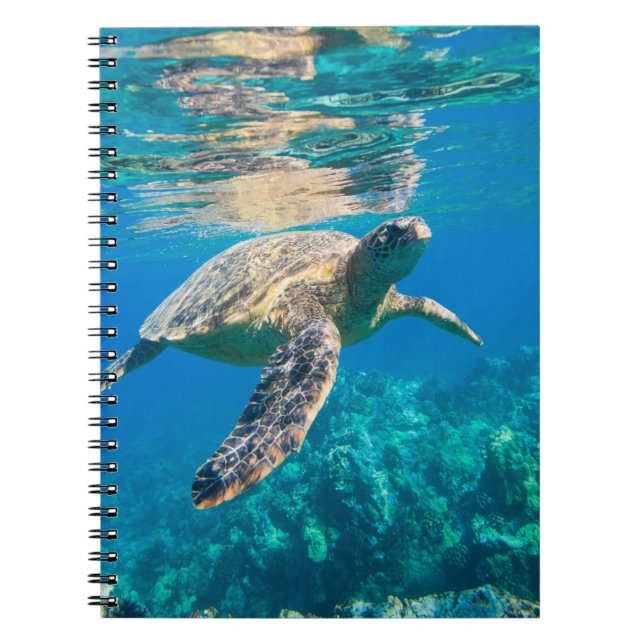 Swimming Sea Turtle Notebook (Front)