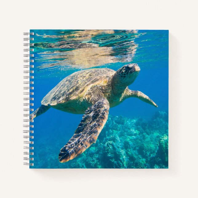 Swimming Sea Turtle Notebook (Front)