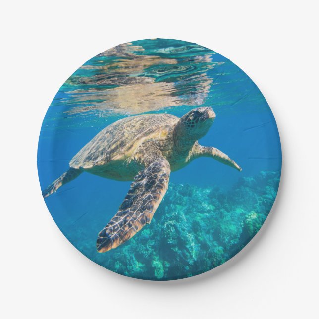 Swimming Sea Turtle Paper Plate (Front)