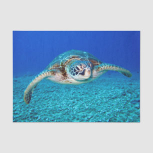 Swimming Sea Turtle Tissue Paper