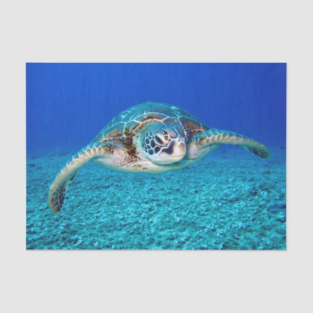 Swimming Sea Turtle Tissue Paper (Front)