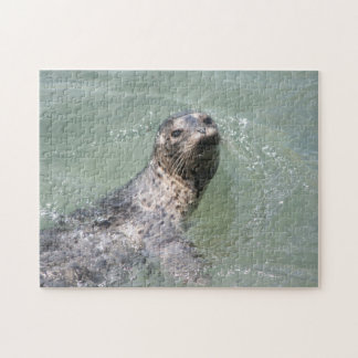 Swimming Seal Jigsaw Puzzle