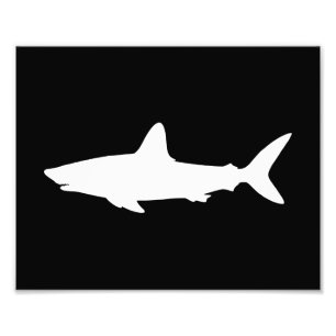 Swimming Shark Photo Print