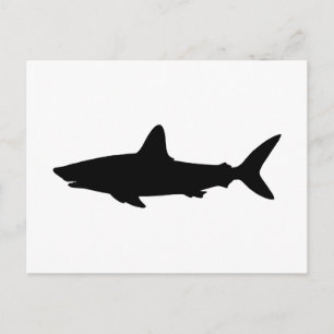 Swimming Shark Postcard