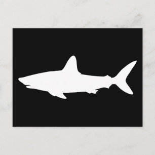 Swimming Shark Postcard