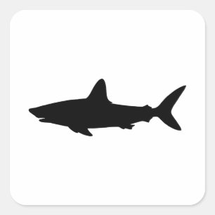Swimming Shark Square Sticker