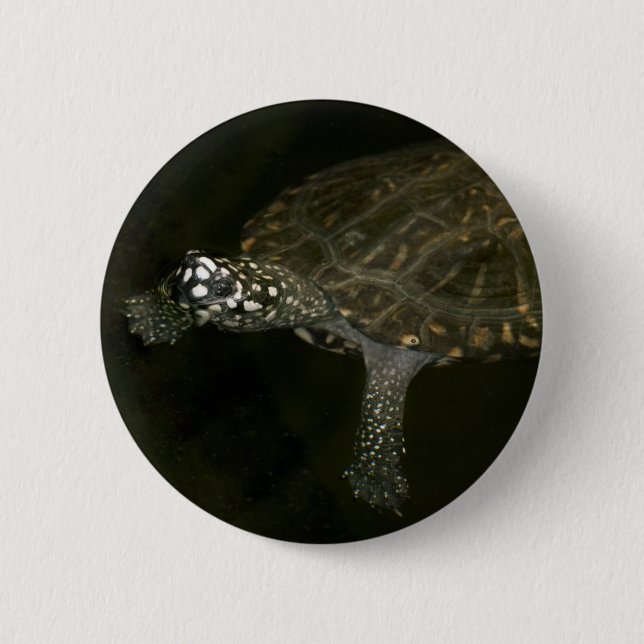 Swimming Turtle 2 Inch Round Button (Front)
