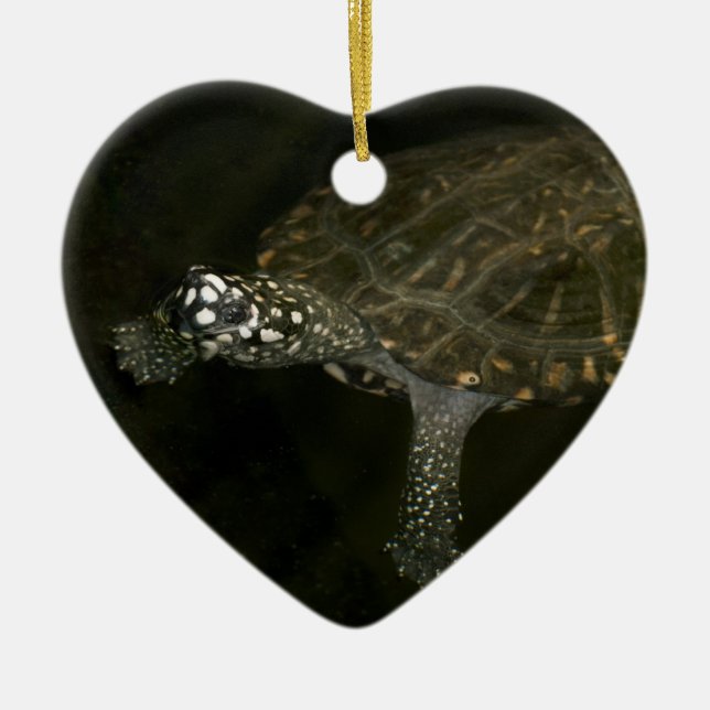 Swimming Turtle Ceramic Ornament (Front)