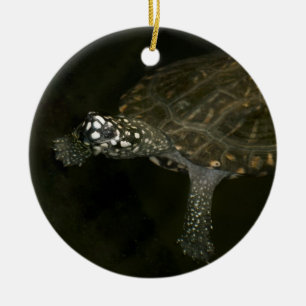 Swimming Turtle Ceramic Ornament