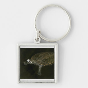Swimming Turtle Keychain